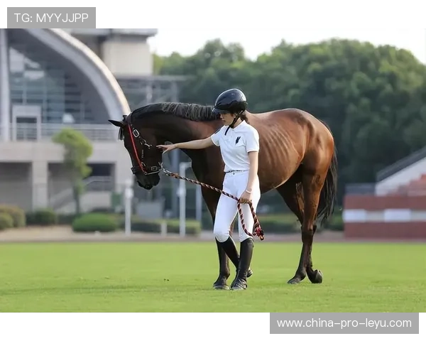 瑞士马术协会设立马匹福利基金，支持马匹退休生活。，瑞典马术队