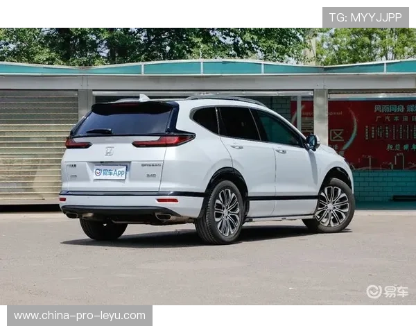 Chinese Taipei战术剖析：每一球背后的战略布局，chinese of taipei