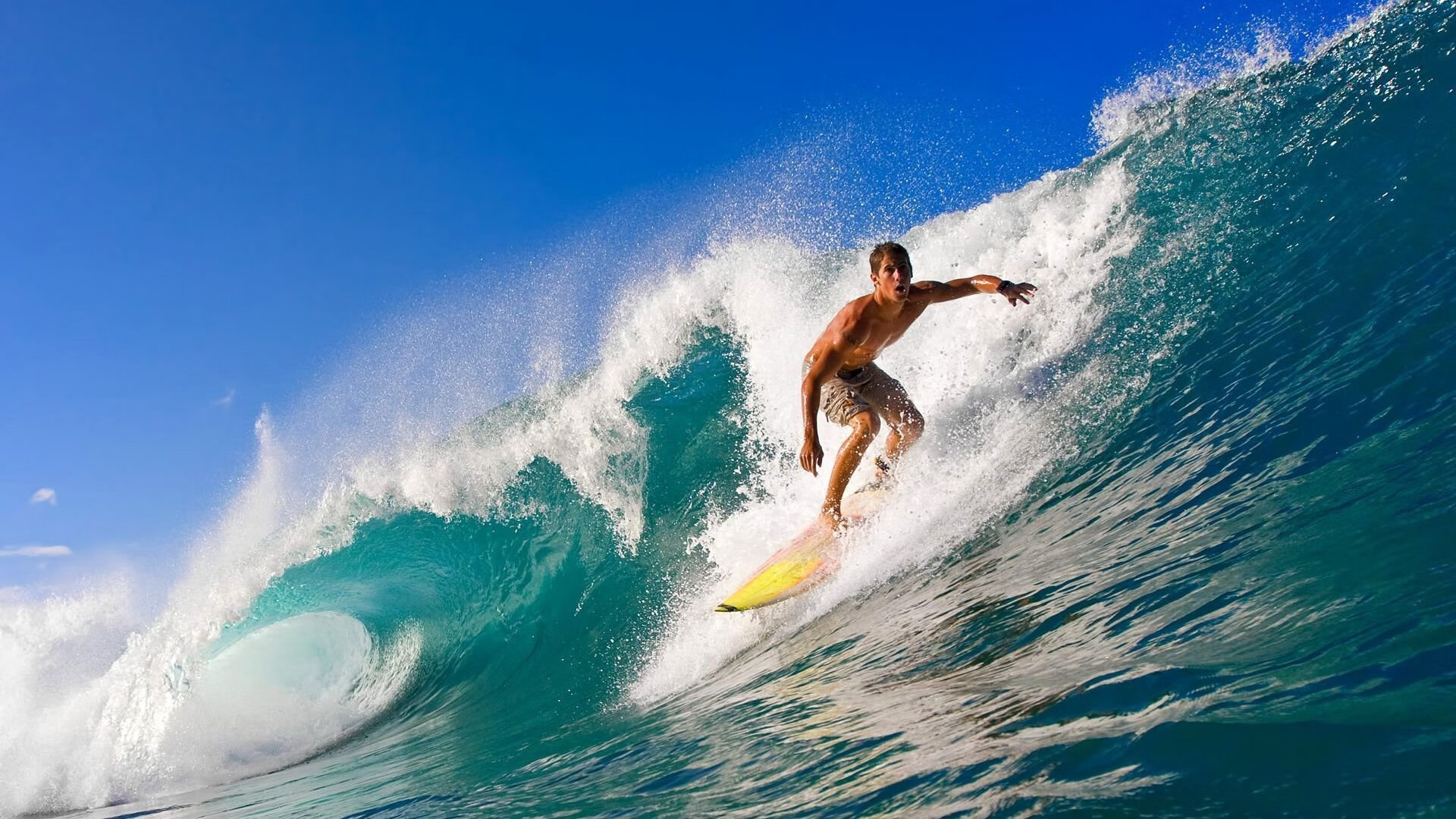 乐鱼体育在线登陆-湖人前锋参与综艺节目展现幽默一面，湖人现役大前锋