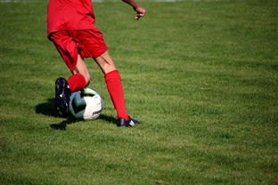 乐鱼体育网址-中国足球是否拥有独立的裁判培养体系，中国足球裁判分几个级别